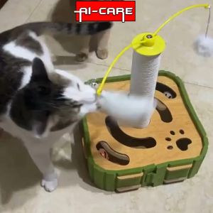 Cat Teasing Interactive Box Teasing Cat Stick Scratcher Resistant Cat Kitten Toys Mainan Kucing