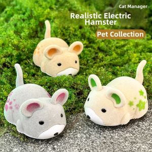 MAOGUANJIA | Interactive Durable Cat Toy