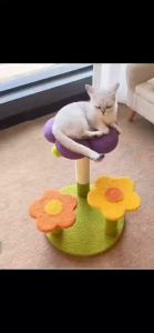 Cat Toys Flower Shape Cat Climbing Frame