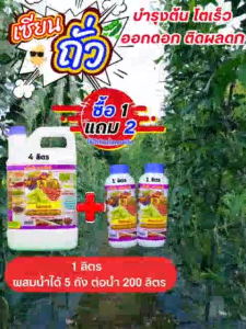เซียนถั่วโปรซื้อ 1 แกลอน 4 ลิตร แถมฟรี เซียนถั่ว 1 ลิตร 2 ขวด บำรุงต้นโตเร็ว ออกดอกติดผลดกก ฝักใหญ่ ยาว เมล็ดโต น้ำหนักดี