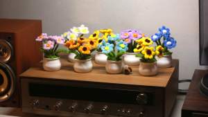 กระถางดอกไม้กำมะหยีจิ๋ว มินิมอล 9x14cm