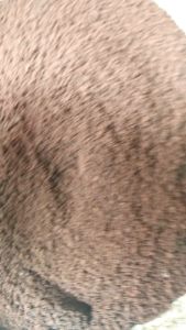 Pasir Malang MERAH GRADE A NO 0.5 Super Halus 1 karung Isi 5 - 6 kg