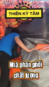Áo phao xốp cứu hộ cao cấp size 1-7 áo phao tập bơi cho trẻ em và người lớn - An toàn hơn cho gia đình - Sẵn sl lớn