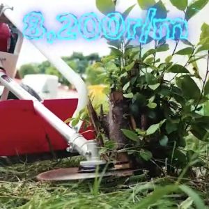 รถเข็นตัดหญ้า 2จังหวะ 4จังหวะ 2-4 แรงม้า มาตราฐานญี่ปุ่น สามารถใส่อุปกรณ์เสริมได้ รุ่นนี้ล้อใหญ่ เติมลม