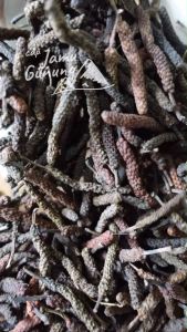 Cabai Jawa atau Cabe Puyang Kering 100gr - Obat Asam urat Tradisional