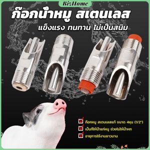 1/2" ก๊อกหมู ก๊อกหมูกินน้ำ จุ๊บหมู สแตนเลสแท้ทนทานไม่ขึ้นสนิม Pig Drinking Faucet