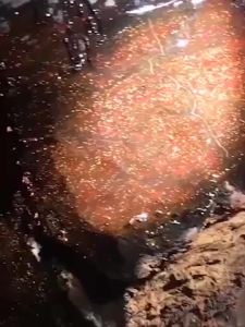 สร้อยข้อมือไม้ชิงชันสีเหลืองสร้อยข้อมือลูกปัดไม้จันทน์แดงใบเล็กไม้จันทน์ไม้กฤษณาชายหญิงเครื่องประดับคู่ลูกประคำ