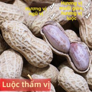 Đậu Phộng Nguyên Hạt Nướng Muối và Gia Vị Năm Hương