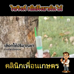 ไซริงค์ฝังเข็มต้นไม้ 60ml – ใช้งานง่าย ได้ผลจริง แนะนำโดยเกษตรกรผู้เชี่ยวชาญ | 1–5 ชุด