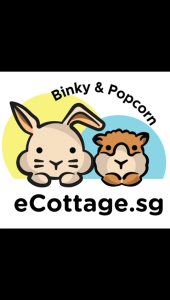 Absorb Plus Antibacteria Training Pee Pads (Medium 50PCS 45X60cm)