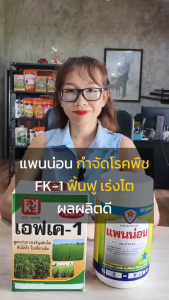 ต้นสับปะรด ใบไหม้ ใบจุด แก้ด้วยชุดกำจัดเชื้อรา แพนน่อน (แมนโคเซบ) +ปุ๋ย FK-1 ฟื้นฟู บำรุง แข็งแรง