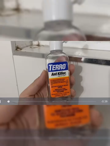【Official Special Offer】TERRO Liquid Ant Killer II 1.0 fl.oz Original American