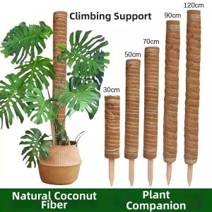 PAMPAS | Aesthetic Coconut Fiber Climbing Pole for Green Plants