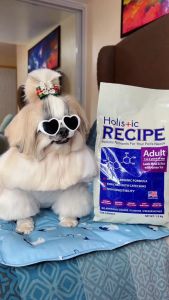 1kg Holistic Recipe Dry Dog Food Repacked Adult Puppy All stages