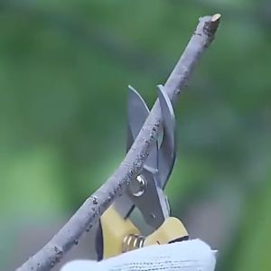 DuduMart Garden Pruning Shears: Multifunctional Stainless Steel Scissors for Plant Cutting Tools