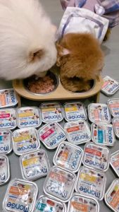 100g Monge Fresh Wet Dog Food Complete Healthy Nutrition Meal All Stages Adult Puppy Dogs Pet