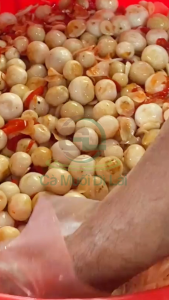 Combo 2kg cà muối Dì Lài kèm hộp quà đẹp ý nghĩa