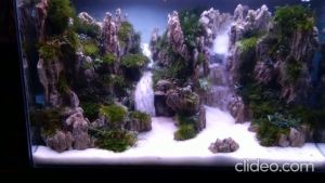 Pasir SILICA PUTIH HALUS KARUNGAN - SILIKA Aquascape Aquarium