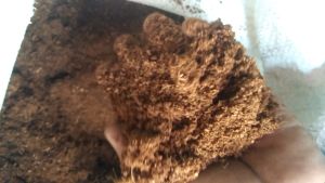 MEDIA TANAM COCOPEAT PREMIUM SUPER HALUS 1 KG