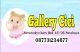 Gallery Cici