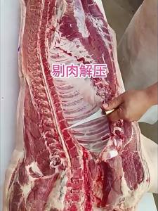 XIAOTIANLAI | Sharp High Manganese Steel Boning Knife