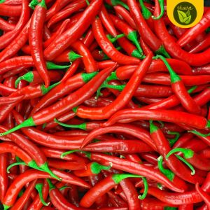 100 seeds for planting binhi pantanim sili labuyo