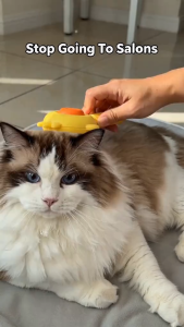 Pet Hair Brush - Cats Shedding Comb | Cleaning Slicker Brush for Pets Cute Grooming Brushes Massaging Comb for Long Short Haired Cats-Dogs