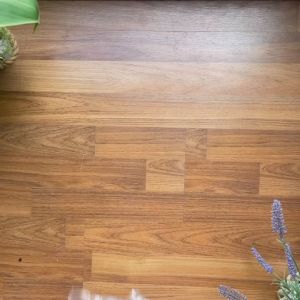 Quần dài Jean Trẻ EmQuần Ống Loe kiểu Hàn Quốc Đính Nơ Cho Bé Gái Siêu Dễ Thương Thoải Mái Và Sang Chảnh