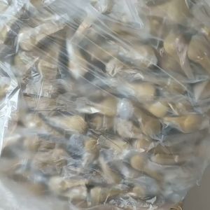 SYRUP PUMP for Davinci Starbucks Torani Sparlar 1/4oz