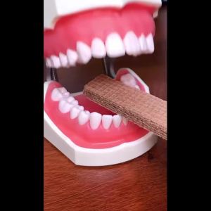 Hộp Đựng Chỉ Nha Khoa Di Động - Tăm Nhựa Chịu Lực Cao Chăm Sóc Răng Miệng Cho Người Lớn Dùng Một Lần Gói Combo 1/2/3/5 Hộp