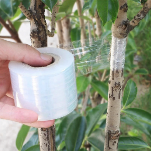 PAMPAS | Self-Adhesive Grafting Tape