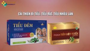 Tiểu đêm Kingphar - Hỗ trợ giảm chứng đi tiểu đêm tiểu nhiều lần tiểu không tự chủ (hộp 3 vỉ x 10 viên)