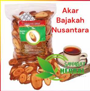 JAMU Akar Kayu Bajakah Asli Kalimantan Original PREMIUM Bajaka Bajakan Merah Super HERBAL akar kayu bajakah Kalawit asli kalimantan 1KG