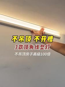 PAIMIJI | Ceiling Mount-Free Light Emitting Imitation Plaster Line Light Strip