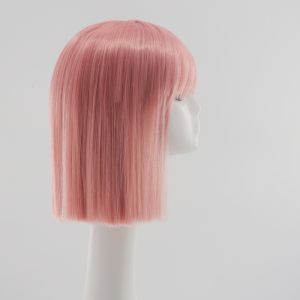 Phụ Kiện Tóc Giả Dài Thẳng Đen Tự Nhiên Cho Nữ Kiểu Tóc Ngắn Gọn Phong Cách Công Chúa Phụ Kiện Tóc Giả Toàn Bộ