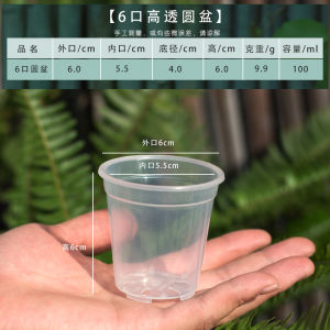 Thickened Phalaenopsis Special Flower Pot Plastic Succulent Dendrobe Orchid Planting Seedling High Transparent Viewing Root round Basin