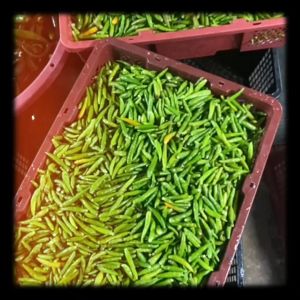 Sambal Omak Jenny | Sambal Hijau Minang (READY TO EAT)