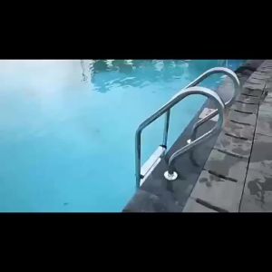 Stainless Steel Swimming Pool Step Ladder with Built-in P Shaped Grab Rail 2/5-step