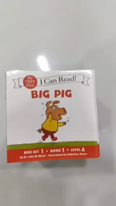 (84books) I Can Read Phonics big pig flat tire Nancy
