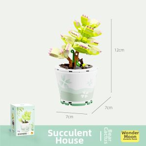 WONDER MOON | Cute Cactus Style Ins Inspired DIY Building Blocks