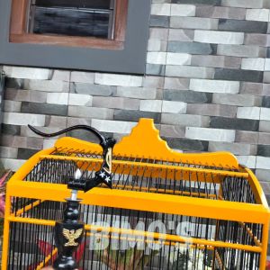 Gantungan Sangkar Burung Betmen Antik Fullset Pion Cantolan Sangkar Kosan Murai