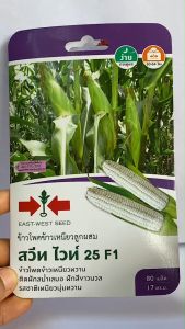 ศรแดง ข้าวโพด สวีทไวท์ 26/09/2569 จำนวน 80 เมล็ด ฝักใหญ่ น้ำหนักดี รสชาติเหนึยว นุ่ม หวาน ระยะเก็บเกี่ยว 60 วัน