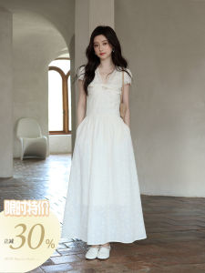 Summer Design Twist V-Neck Lace Trim Dress