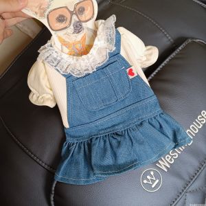 Princess Style Thin Denim Skirt Dog Dress for Teddy Bichon Yorkie Spring Season Lightweight Short Skirt Pet Clothes