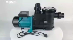 Swimming pool pump HLS Self 0.75HP/1HP/1.5HP/2.0HP 220V/50HZ Silent and energy-saving priming circulating water pump