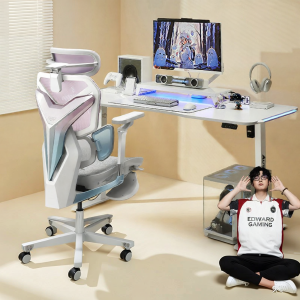 Gaming Height Adjustable Office Desk