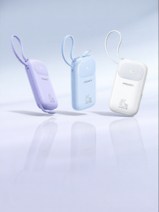 PISEN | Certified Airplane-Safe 3C Fast Charging Large Capacity Slim Portable Charging Bank