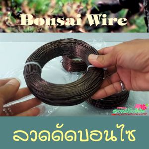 ลวดบอนไซ เบอร์2 ครึ่งกิโล ลวดสำหรับดัดกิ่งบอนไซ ไม่เป็นสนิม ลวดใช้มัดต้นไม้ มัดกล้วยไม้