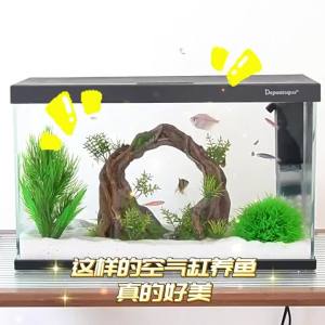 Depontaqua | Bể Cá Tự Hoàn Chuyển Ít Bảo Trì