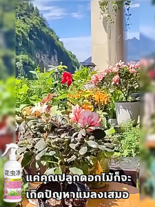 💧แมลงตาย ต้นไม้รอด!🐞แมลง ยากำจัดแมลงพืช  ยาฆ่าแมลง ยากำจัดหนอน สารกำจัดแมลง ยาฆ่าแมลงกินใบ ยากำจัดเพลี้ย ยาฆ่าเพลี้ย ​หนอน มด เกษตร สวน เพลี้ยไฟ เพลี้ยกระโดด แมลงหวี่ขาว พลี้ยแป้ง กำจัดแมลงได้กว้างขวาง อะซีทามิพริด หนอนชอนใบ อะบาเม็กติน ยาปราบศัตรูพืช